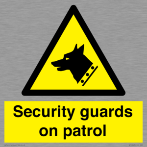 Security guards on patrol